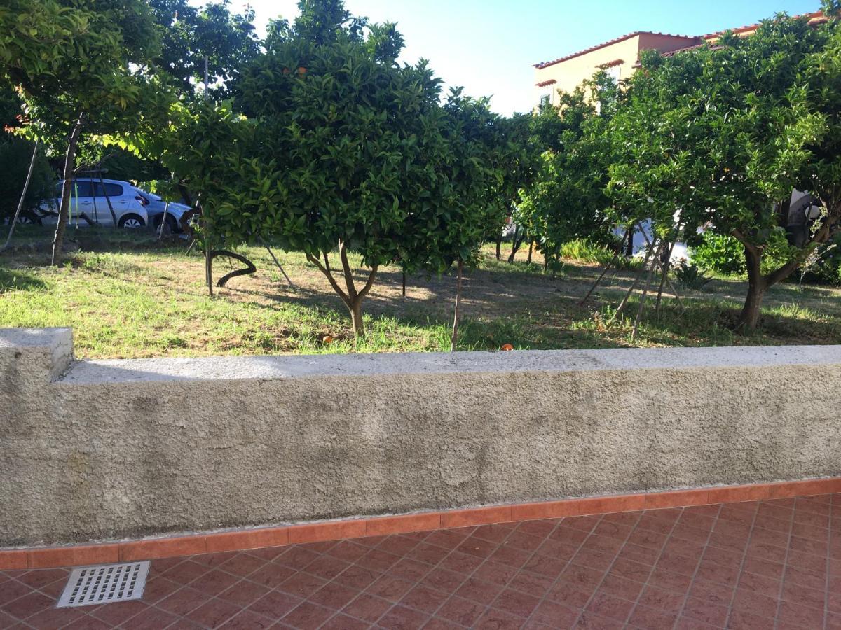 Apartament La Finestra Sul Giardino Ischia Zewnętrze zdjęcie